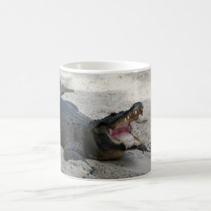 Mug Alligator, Fort Lauderdale, Floride