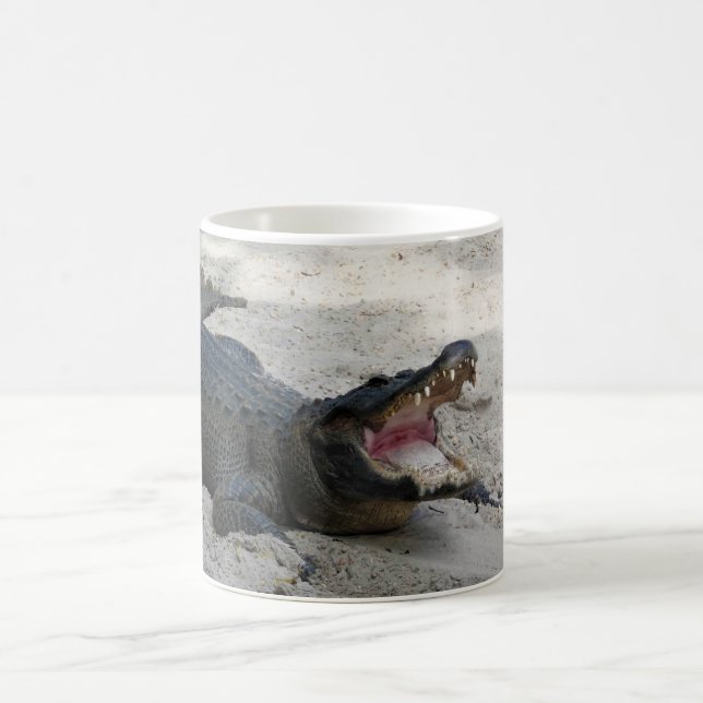 Mug Alligator, Fort Lauderdale, Floride (Centre)