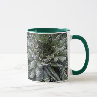 MUG ALOÈS