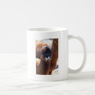 Mug Alpaga doux de bébé - pacos de Vicugna