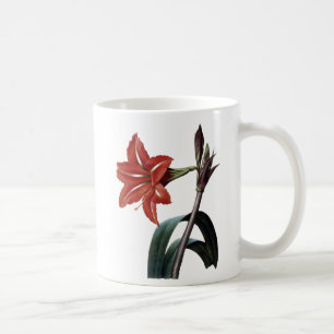 Mug Amaryllis barrée
