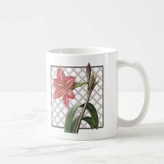 MUG AMARYLLIS BRÉSILIENS
