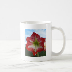 Mug Amaryllis rouge et blanc MegaStar