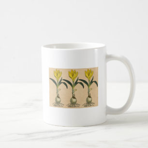 Mug Amaryllis Tulip Jardin Botanique Fleur