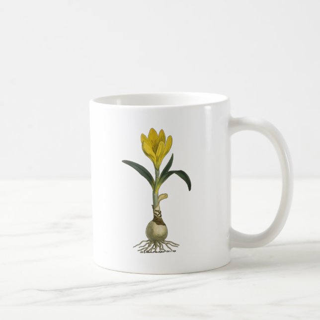 Mug Amaryllis Tulip Jardin Botanique Fleur (Droite)