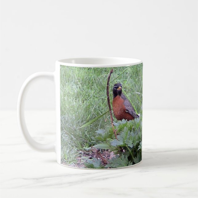 Mug américain Robin (mâle) (Gauche)