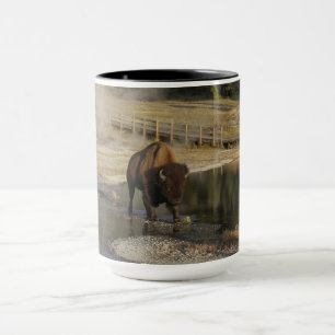 Mug American Bison Yellowstone Wildlife Photography