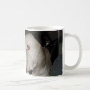Mug American Buldog drooling