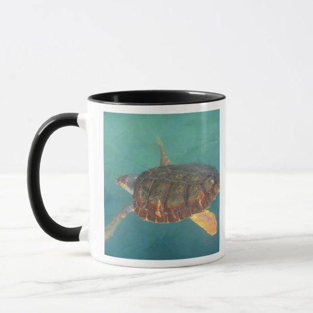 Mug Amérique centrale, Panama, Bocas Del Torro (Gauche)