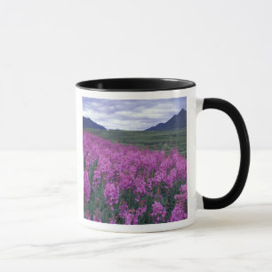 Mug Amérique du Nord, Canada, Yukon. Fleurs de mauvai
