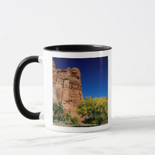 Mug Amérique du Nord, États-Unis, Arizona, Navajo In