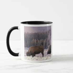 Mug Amérique du Nord, États-Unis, Wyoming, Parc nation