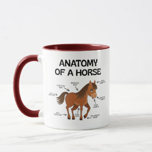 Mug Anatomie amusante d'un cheval, joli dessin animé S