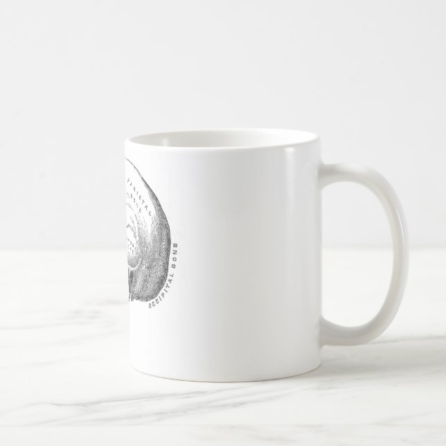 Mug Anatomie de crâne (Droite)