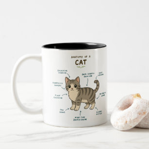 Mug Anatomie Drôle d'un Chat - Cadeau pour Amateur