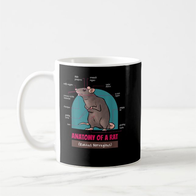 Mug Anatomie D'Un Rat Rattus Rats Norvegious  (Gauche)
