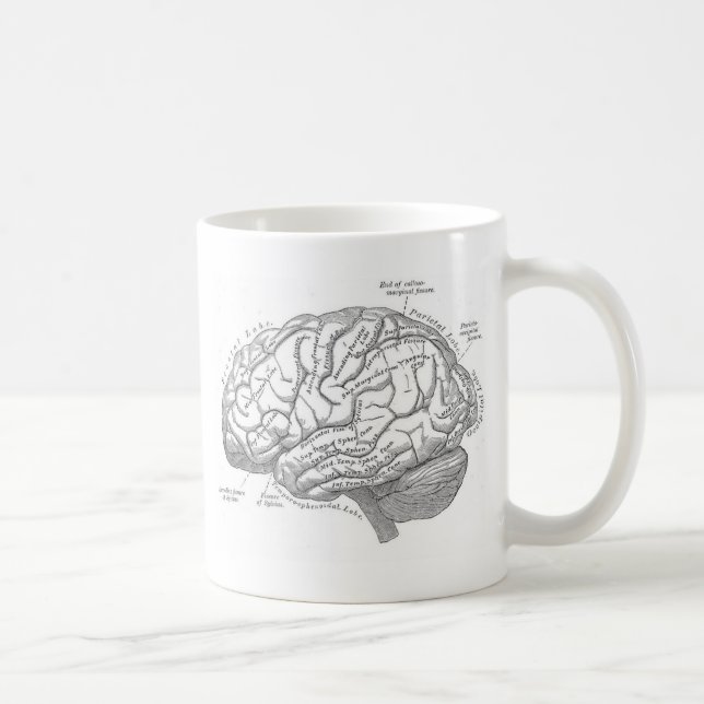 Mug Anatomie vintage de cerveau (Droite)