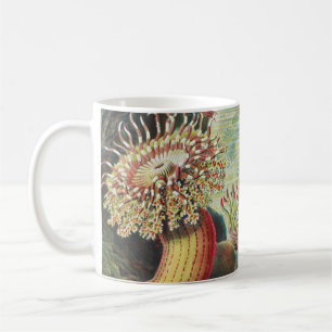 Mug Anémones de mer, Actiniae Seeanemonen Ernst Haeck