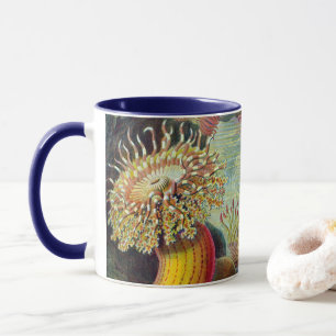 Mug Anémones de mer, Actiniae vintage par Ernst Haecke