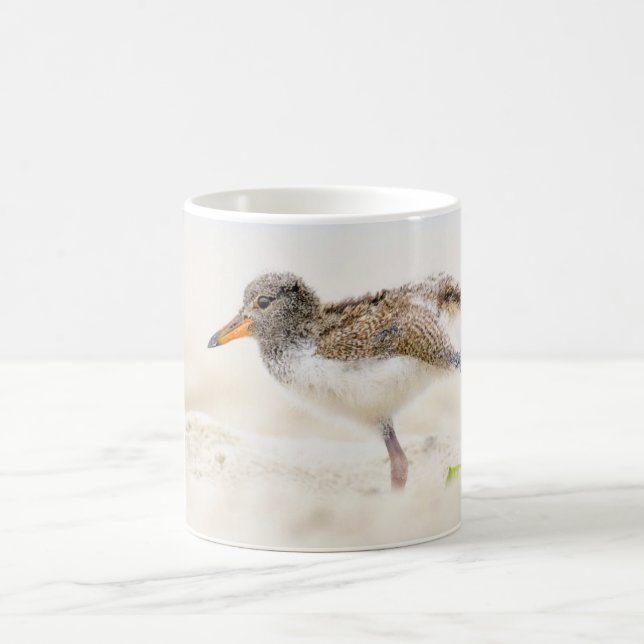 Mug Animaux de bébés cutest | American Oystercatcher C (Centre)