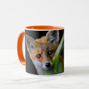Mug Animaux de bébés cutest   Baby Red Fox
