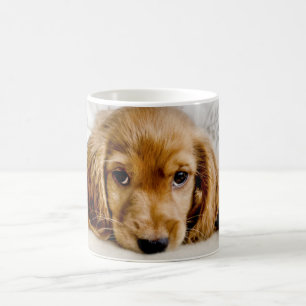 Mug Animaux de bébés cutest Cocker Spaniel