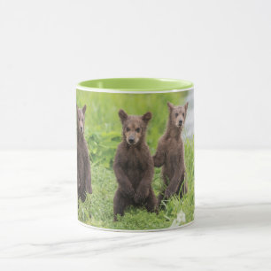 Mug Animaux de bébés cutest   Cubes d'ours Brown Kamch