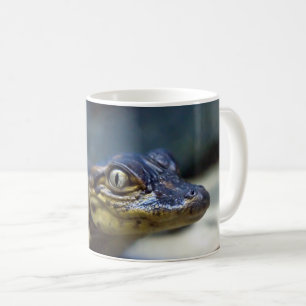 Mug Animaux de bébés cutest   Jeune alligator
