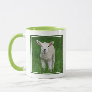 Mug Animaux de bébés cutest   Lil Lamb