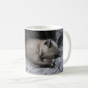 Mug Animaux de bébés cutest Tiny Kitten Dormir
