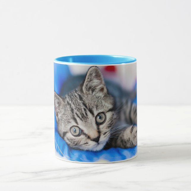 Mug Animaux de bébés cutest | Tunnel Tabby Kitten en J (Centre)