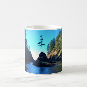 Mug Anse de Dead Man, cap Disappointment, WA
