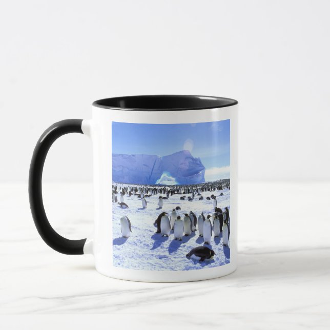 Mug Antarctique, péninsule Antarctique, mer de Weddell (Gauche)