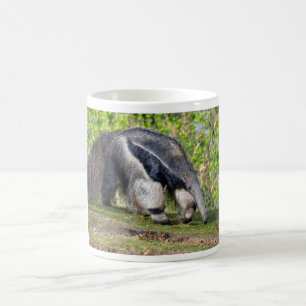 Mug Anteater géant marchant sur l'herbe