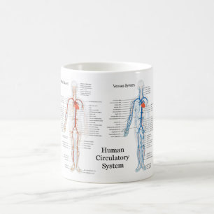 Mug Appareil circulatoire humain des artères et des
