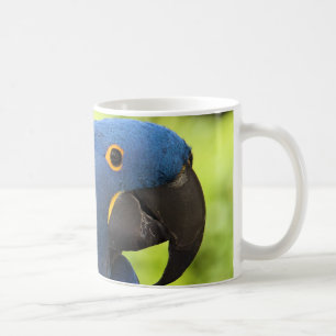 Mug Ara de jacinthe