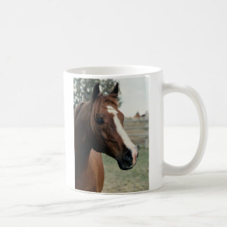 Mug Arabian au Pasture