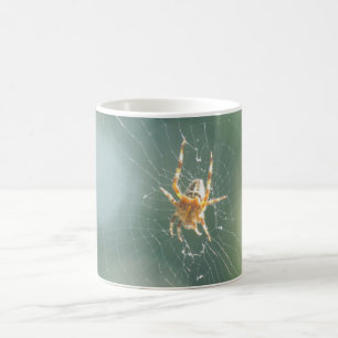 Mug - Araignée sur le web