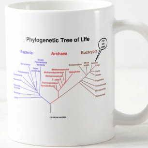 Mug Arbre de la vie phylogénétique - vous êtes ici (la