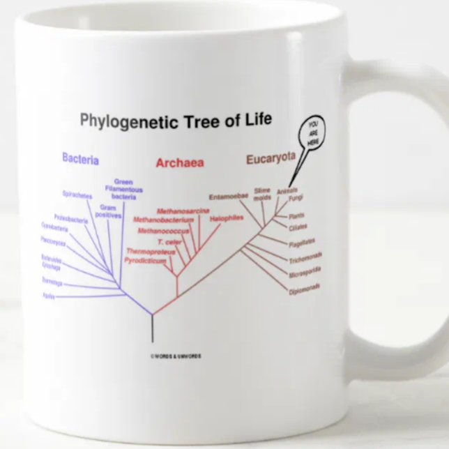 Mug Arbre de la vie phylogénétique - vous êtes ici (la (Mug featuring the phylogenetic tree of life along with the "You Are Here" call-out)