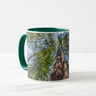 Mug Arbres de séquoia Comté de Marin, Californie