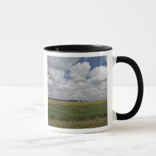 Mug Argentine, Buenos Aires, San Antonio de Areco.