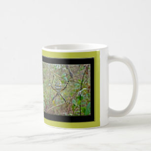 Mug Argiope trifasciata Orb Weaver Spider