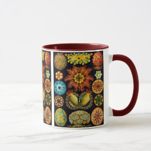 Mug Ascidiacea (Equipes de mer), Ernst Haeckel Fine Ar