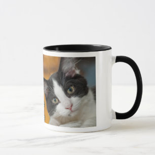 Mug Asio et minous d'Otis
