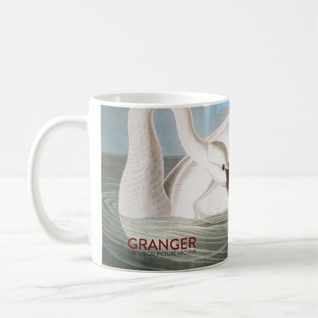 Mug Audubon : Cygne de trompettiste (Gauche)