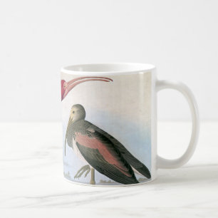 Mug Audubon : Écarlate IBIS