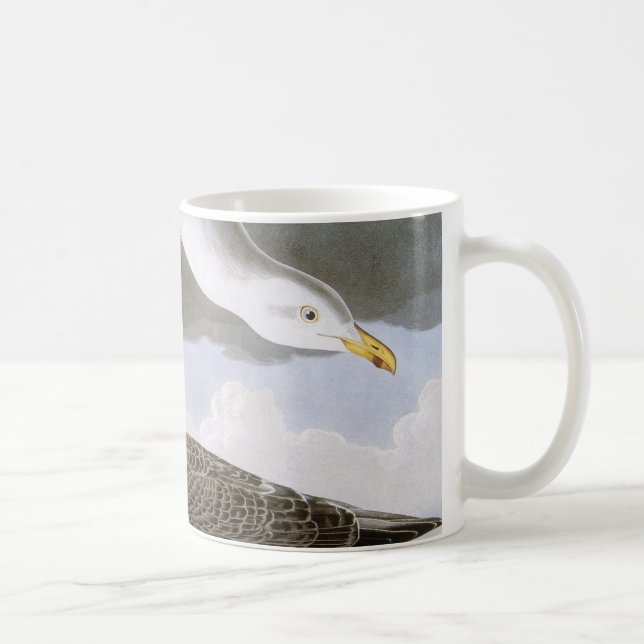 Mug Audubon : Mouette d'harengs (Droite)