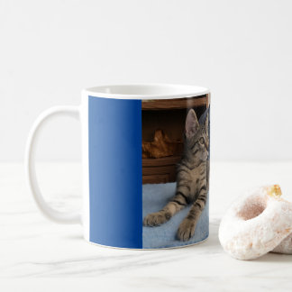 Mug avec chaton mignon