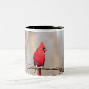 Mug avec photo d'un cardinal du nord mâle